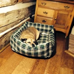 Meet your Posher, Bill